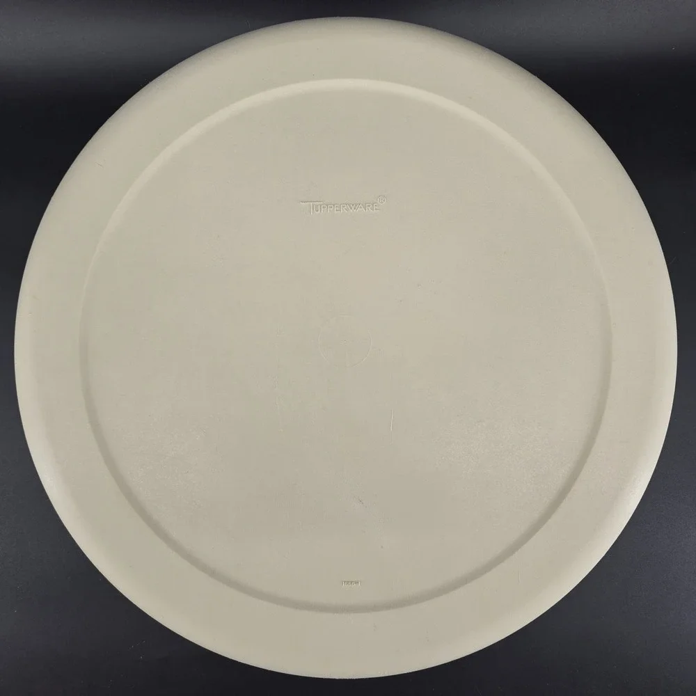 Vtg Tupperware Serving Center Vegetable Fruit Divided Tray 1665 & Lid 1666 Beige